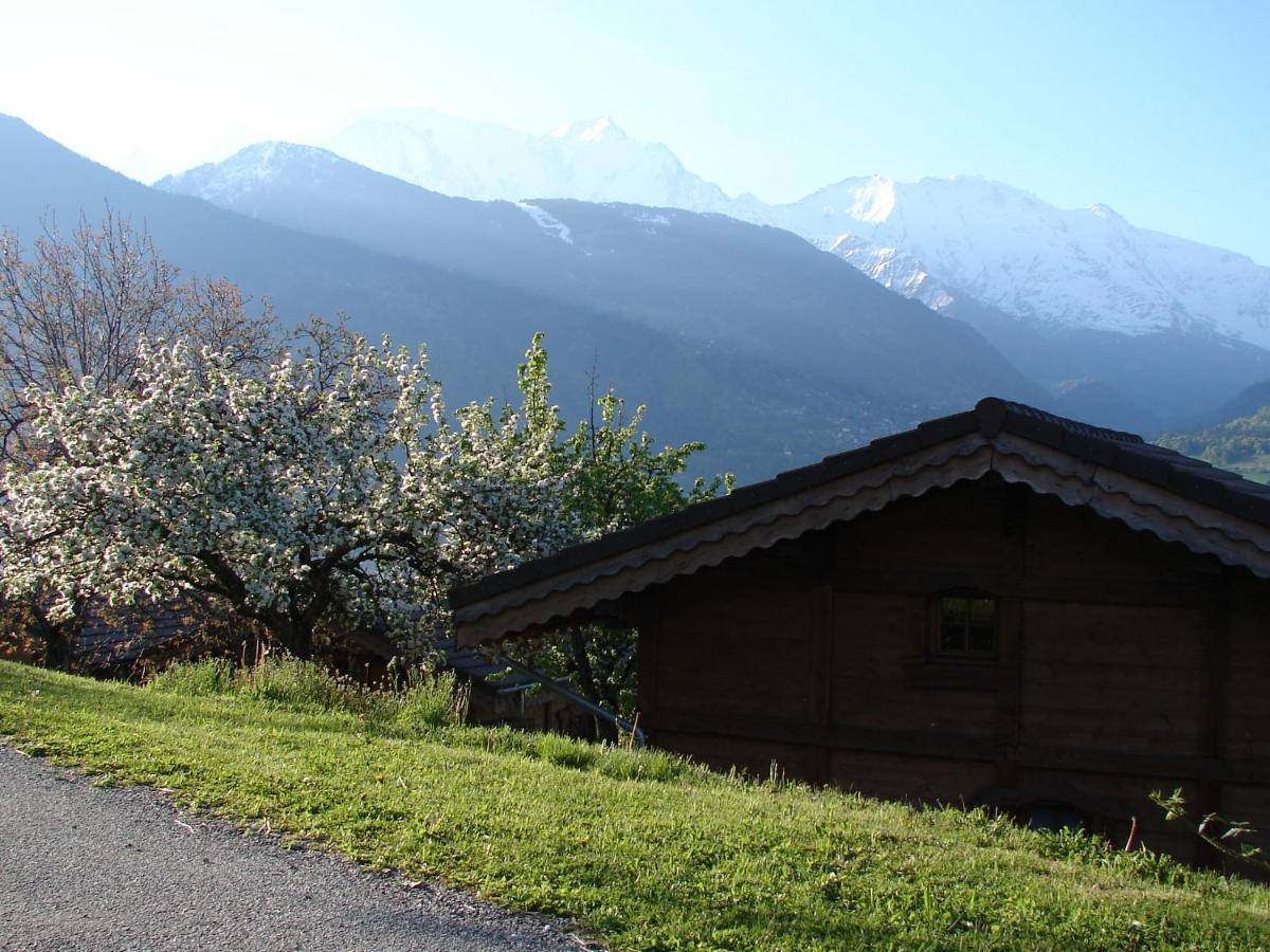 Chalet Les Greniers Du Mont Blanc Passy (Haute-Savoie)